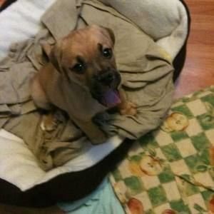 Meet your Posher, Britney